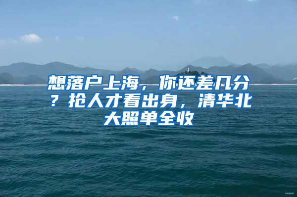 想落户上海，你还差几分？抢人才看出身，清华北大照单全收