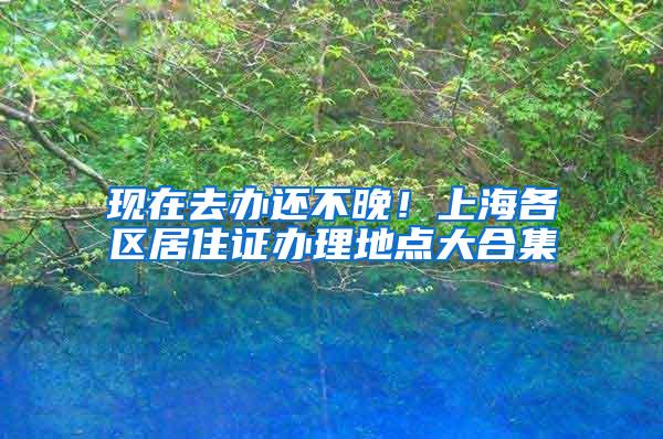 现在去办还不晚！上海各区居住证办理地点大合集