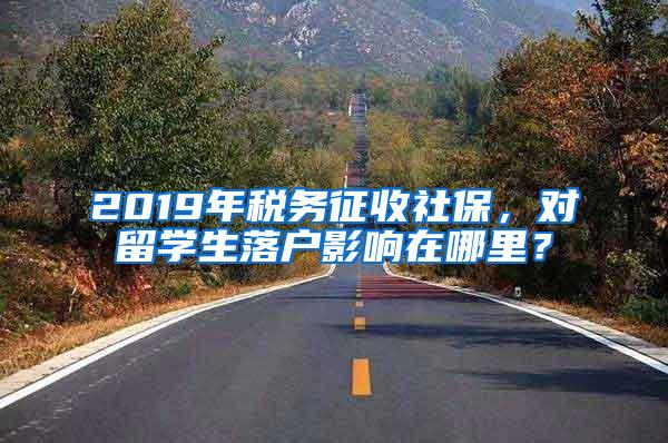 2019年税务征收社保，对留学生落户影响在哪里？