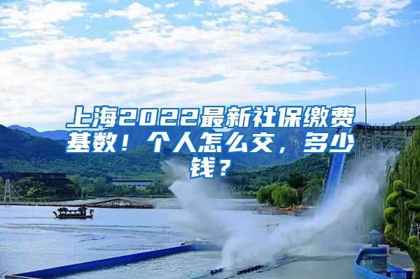 上海2022最新社保缴费基数！个人怎么交，多少钱？