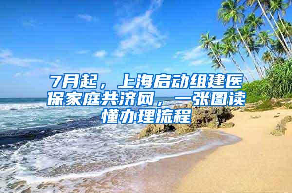 7月起，上海启动组建医保家庭共济网，一张图读懂办理流程