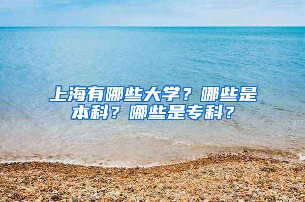 上海有哪些大学？哪些是本科？哪些是专科？