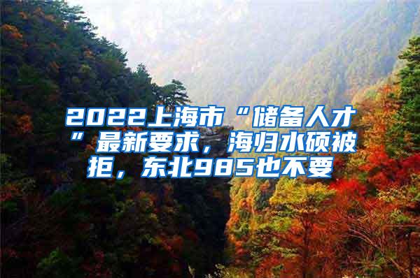 2022上海市“储备人才”最新要求，海归水硕被拒，东北985也不要