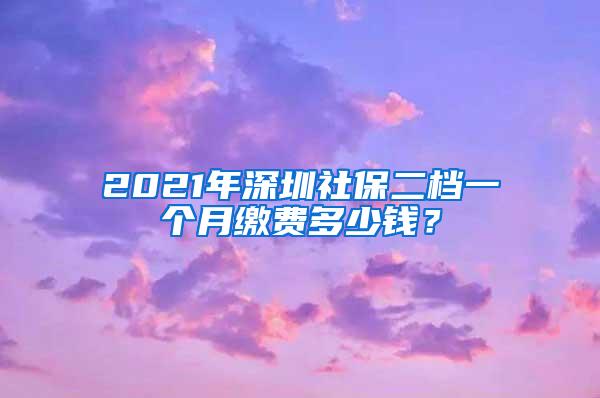 2021年深圳社保二档一个月缴费多少钱？