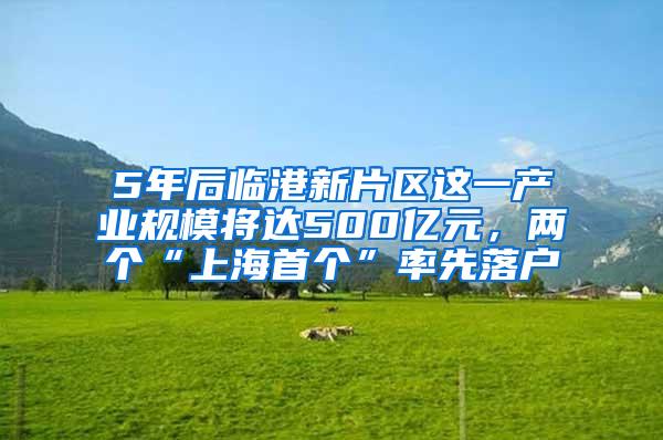 5年后临港新片区这一产业规模将达500亿元，两个“上海首个”率先落户