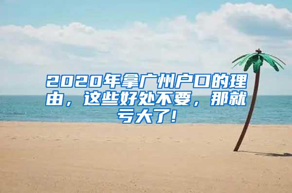 2020年拿广州户口的理由，这些好处不要，那就亏大了!