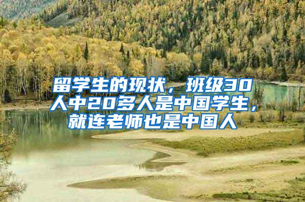 留学生的现状，班级30人中20多人是中国学生，就连老师也是中国人