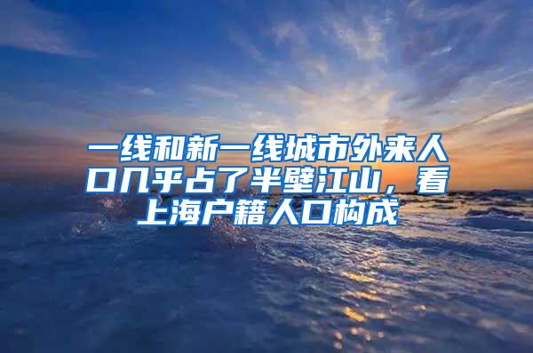 一线和新一线城市外来人口几乎占了半壁江山，看上海户籍人口构成