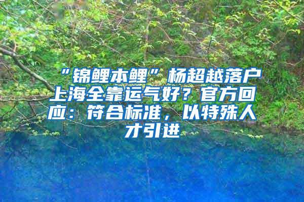 “锦鲤本鲤”杨超越落户上海全靠运气好？官方回应：符合标准，以特殊人才引进