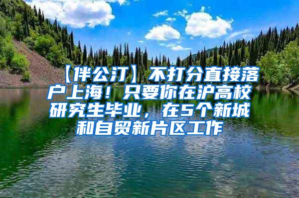 【伴公汀】不打分直接落户上海！只要你在沪高校研究生毕业，在5个新城和自贸新片区工作