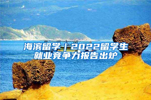 海滨留学｜2022留学生就业竞争力报告出炉