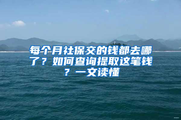 每个月社保交的钱都去哪了？如何查询提取这笔钱？一文读懂