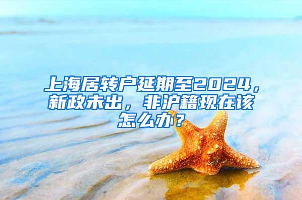 上海居转户延期至2024，新政未出，非沪籍现在该怎么办？