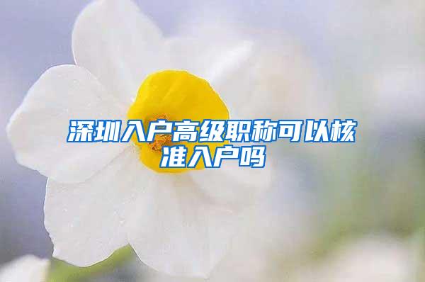 深圳入户高级职称可以核准入户吗