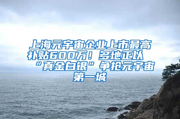 上海元宇宙企业上市最高补贴600万！多地正以“真金白银”争抢元宇宙第一城