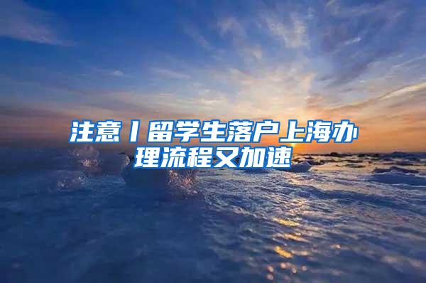 注意丨留学生落户上海办理流程又加速