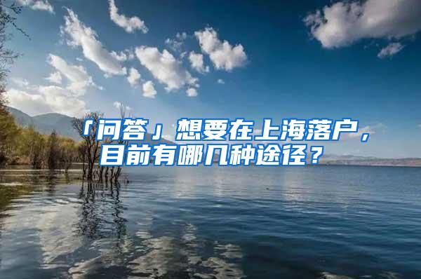 「问答」想要在上海落户，目前有哪几种途径？