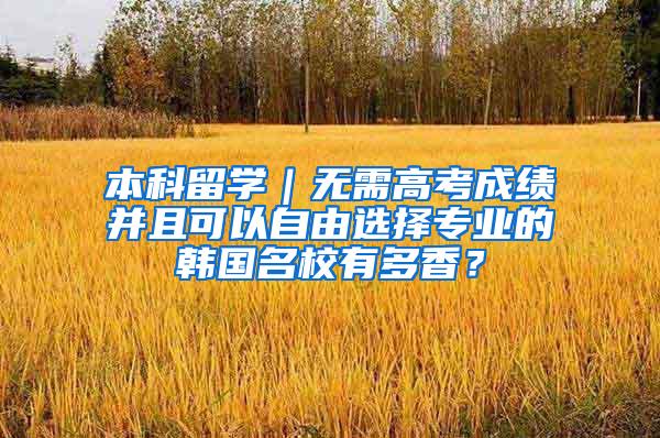 本科留学｜无需高考成绩并且可以自由选择专业的韩国名校有多香？