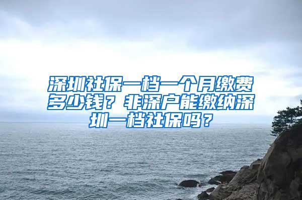 深圳社保一档一个月缴费多少钱？非深户能缴纳深圳一档社保吗？