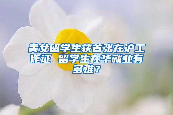 美女留学生获首张在沪工作证 留学生在华就业有多难？