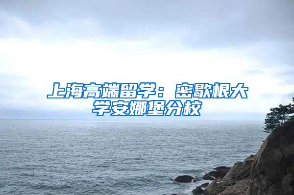 上海高端留学：密歇根大学安娜堡分校