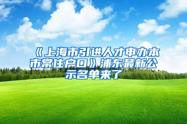 《上海市引进人才申办本市常住户口》浦东最新公示名单来了