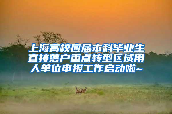 上海高校应届本科毕业生直接落户重点转型区域用人单位申报工作启动啦~