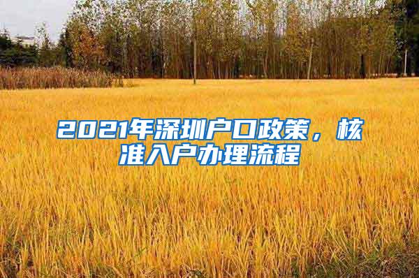 2021年深圳户口政策，核准入户办理流程