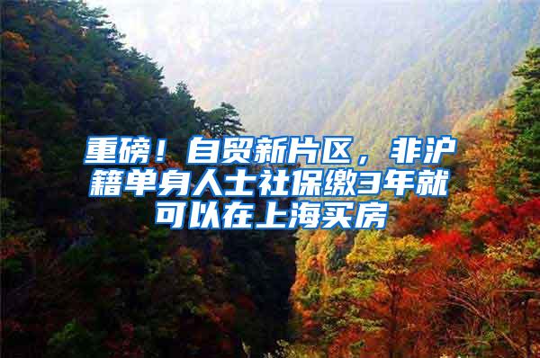 重磅！自贸新片区，非沪籍单身人士社保缴3年就可以在上海买房