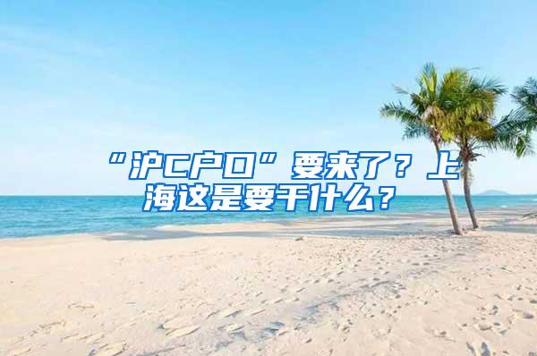 “沪C户口”要来了？上海这是要干什么？