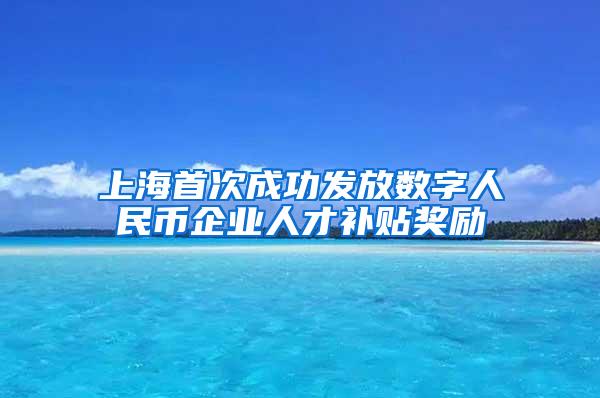 上海首次成功发放数字人民币企业人才补贴奖励