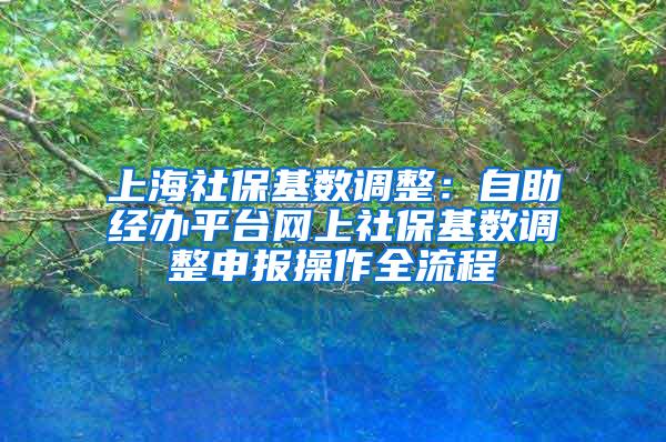 上海社保基数调整：自助经办平台网上社保基数调整申报操作全流程