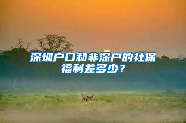 深圳户口和非深户的社保福利差多少？