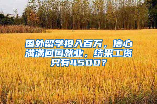 国外留学投入百万，信心满满回国就业，结果工资只有4500？