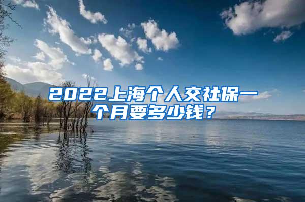 2022上海个人交社保一个月要多少钱？