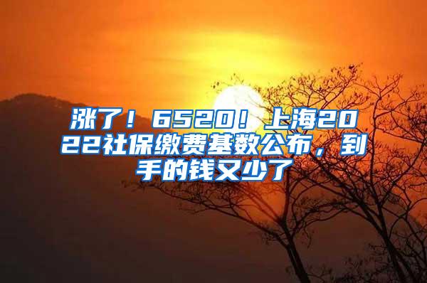 涨了！6520！上海2022社保缴费基数公布，到手的钱又少了