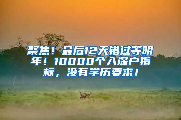 聚焦！最后12天错过等明年！10000个入深户指标，没有学历要求！