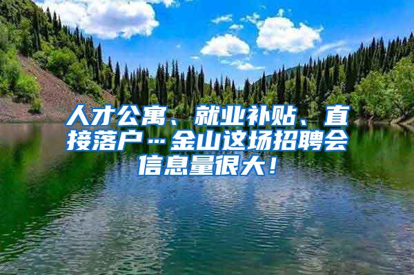 人才公寓、就业补贴、直接落户…金山这场招聘会信息量很大！