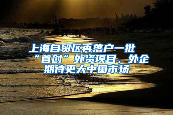 上海自贸区再落户一批“首创”外资项目，外企期待更大中国市场