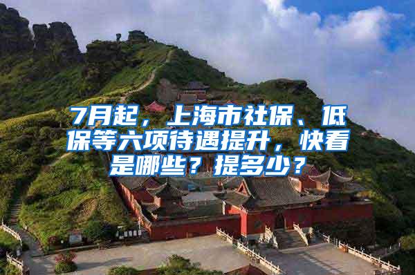 7月起，上海市社保、低保等六项待遇提升，快看是哪些？提多少？