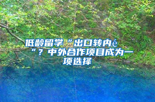 低龄留学“出口转内销“？中外合作项目成为一项选择