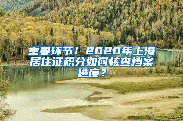 重要环节！2020年上海居住证积分如何核查档案进度？