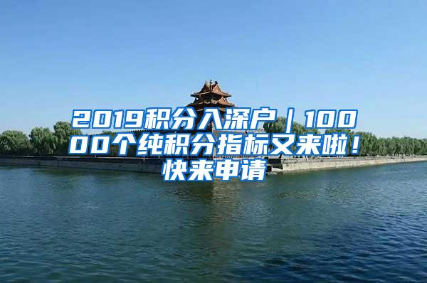 2019积分入深户｜10000个纯积分指标又来啦！快来申请