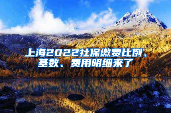 上海2022社保缴费比例、基数、费用明细来了