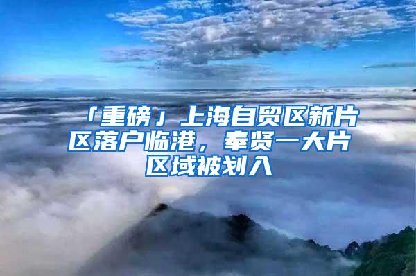 「重磅」上海自贸区新片区落户临港，奉贤一大片区域被划入