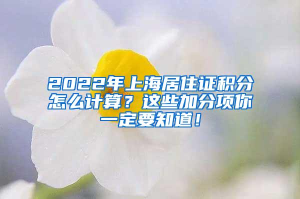 2022年上海居住证积分怎么计算？这些加分项你一定要知道！