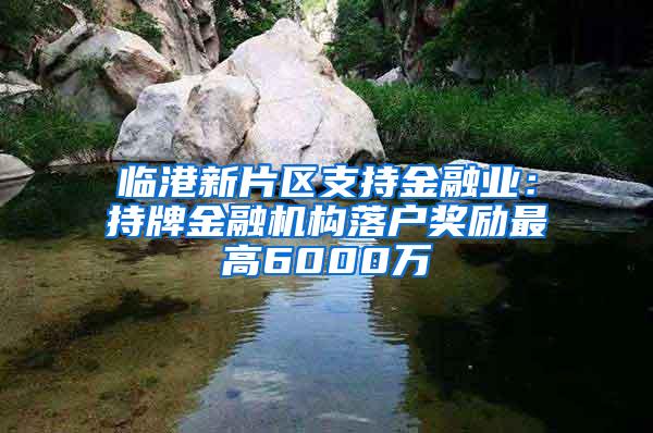 临港新片区支持金融业：持牌金融机构落户奖励最高6000万