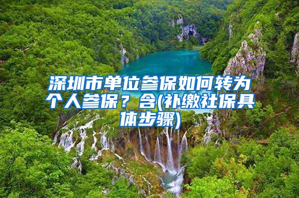 深圳市单位参保如何转为个人参保？含(补缴社保具体步骤)