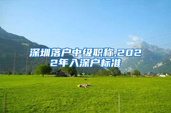 深圳落户中级职称,2022年入深户标准