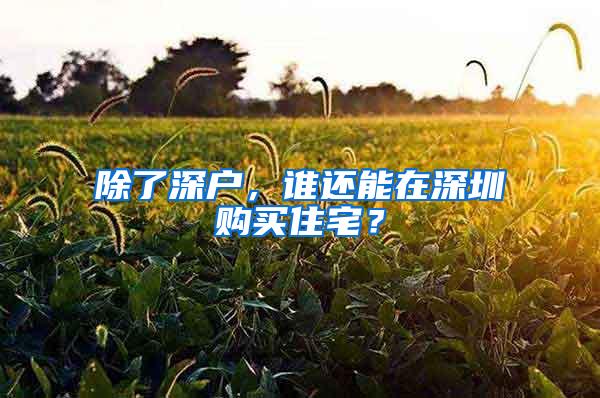 除了深户，谁还能在深圳购买住宅？